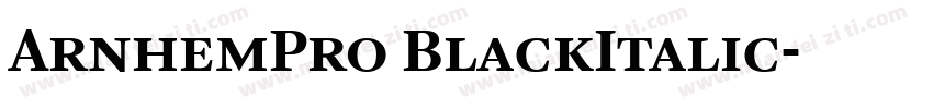ArnhemPro BlackItalic字体转换